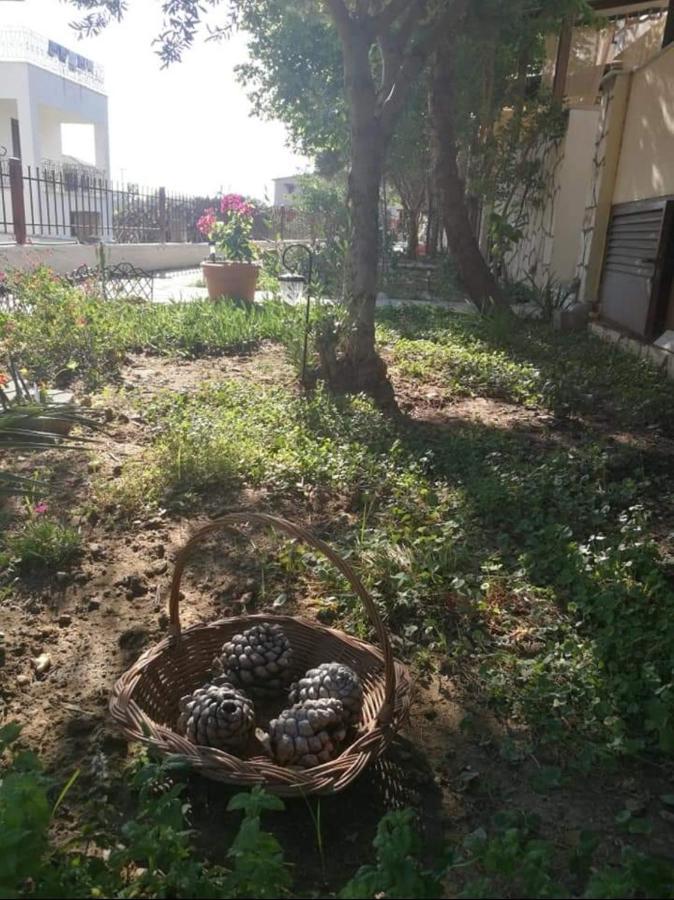 Papadopoulos Houses นิกิติ ภายนอก รูปภาพ